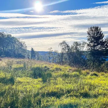 5 Person In Brekke-by Traum * Dingja